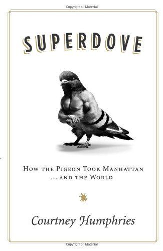 cover of Superdove
