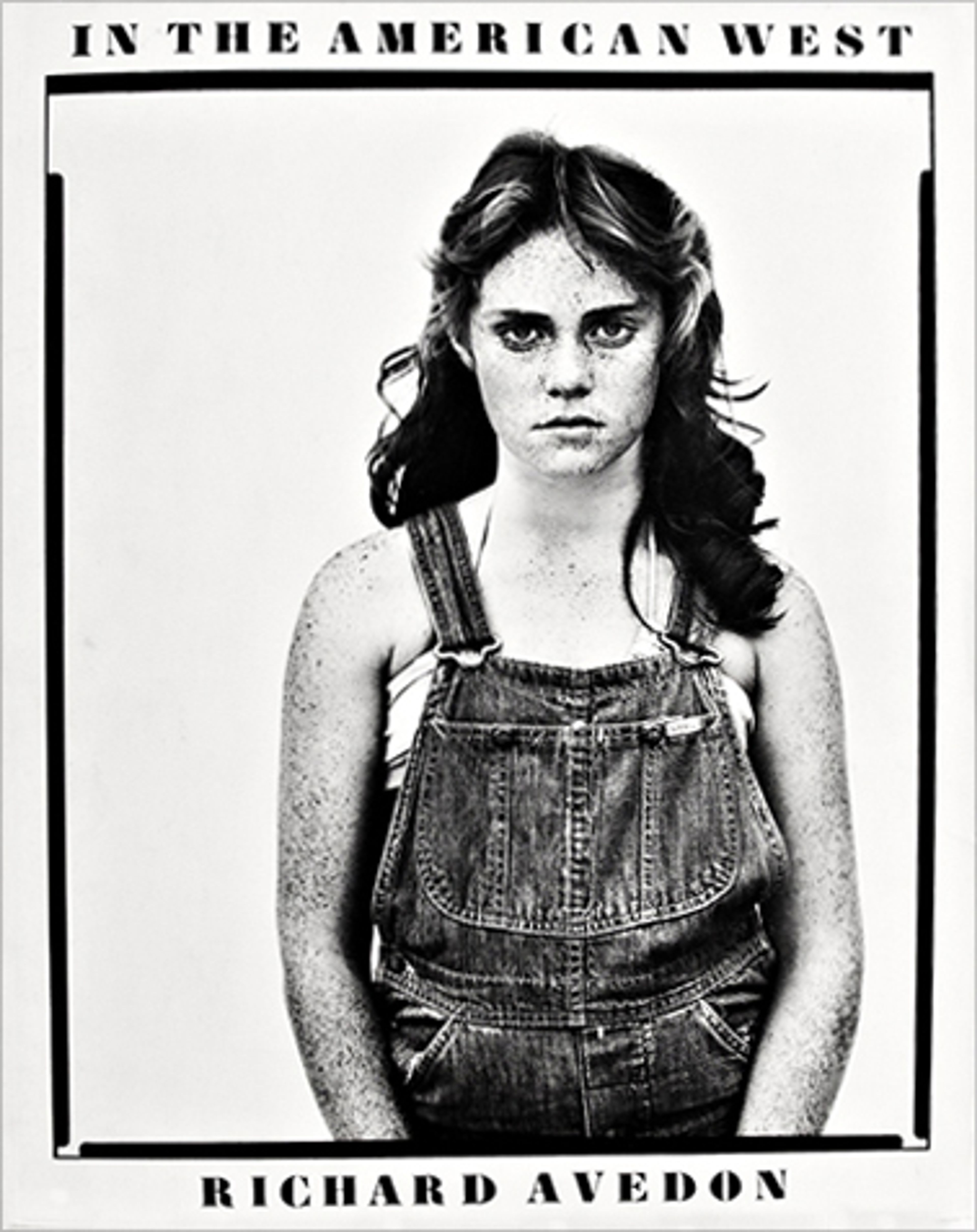 cover of In The American West