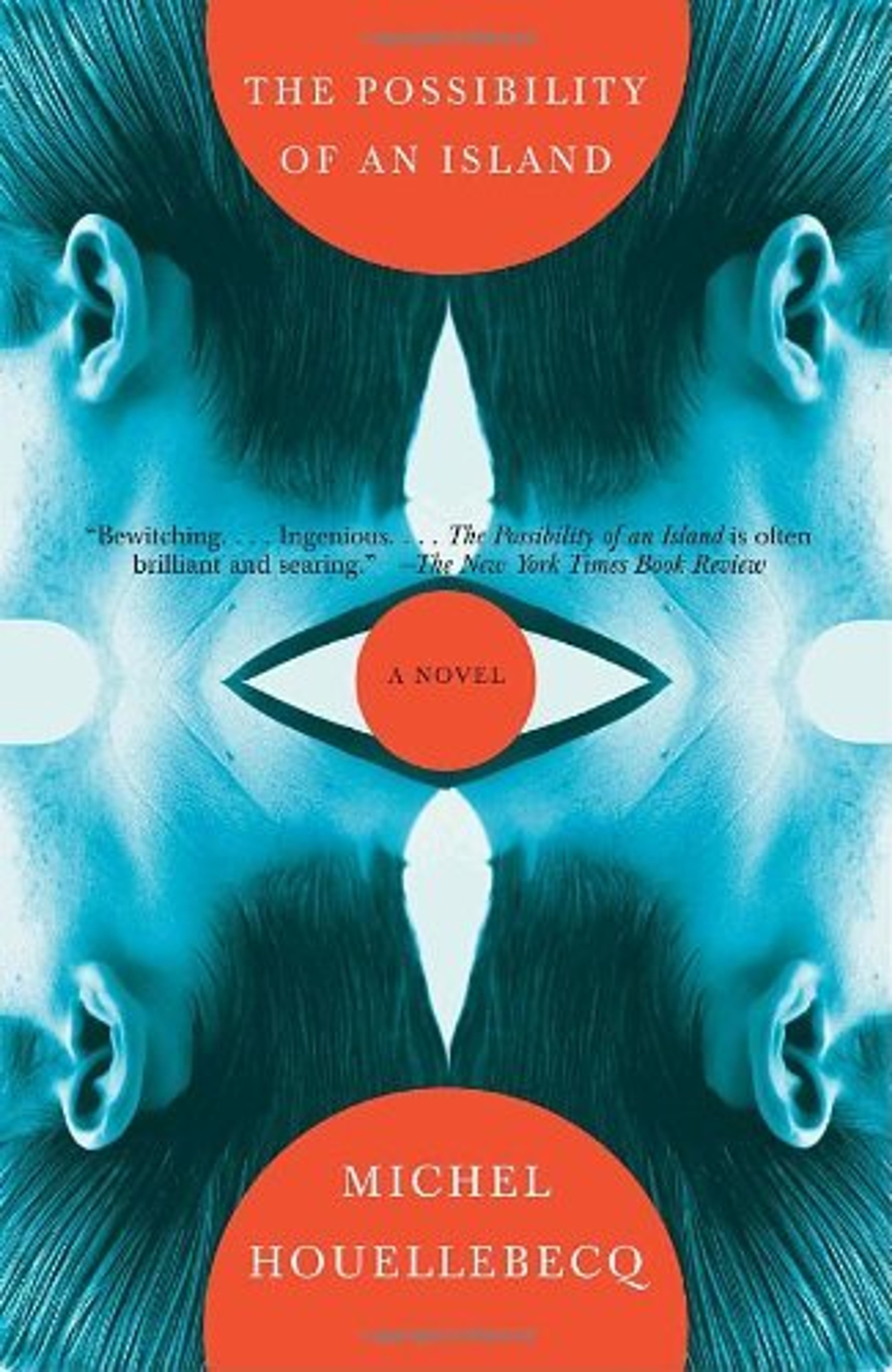 cover of The Possibility of an Island