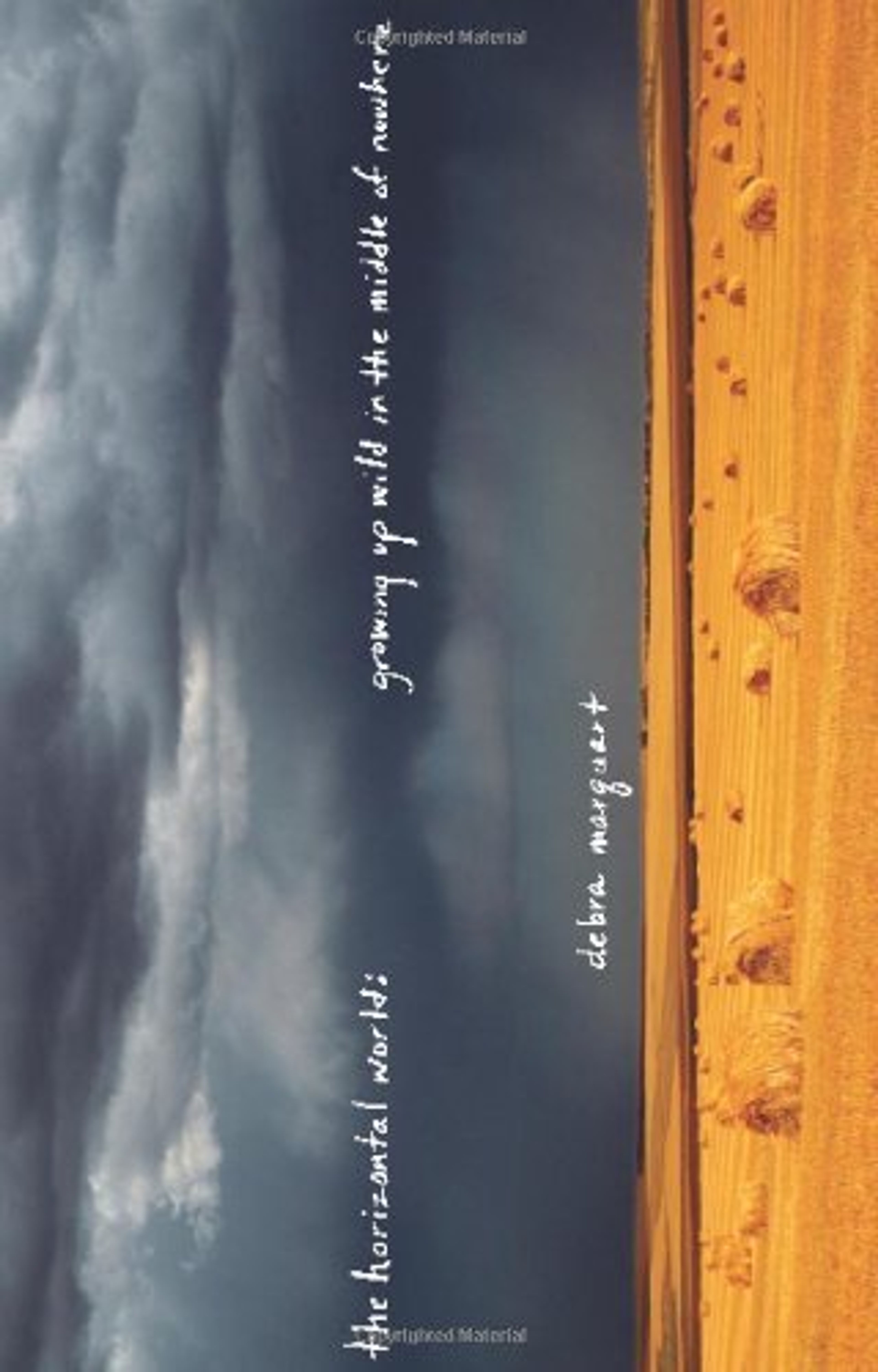 cover of The Horizontal World