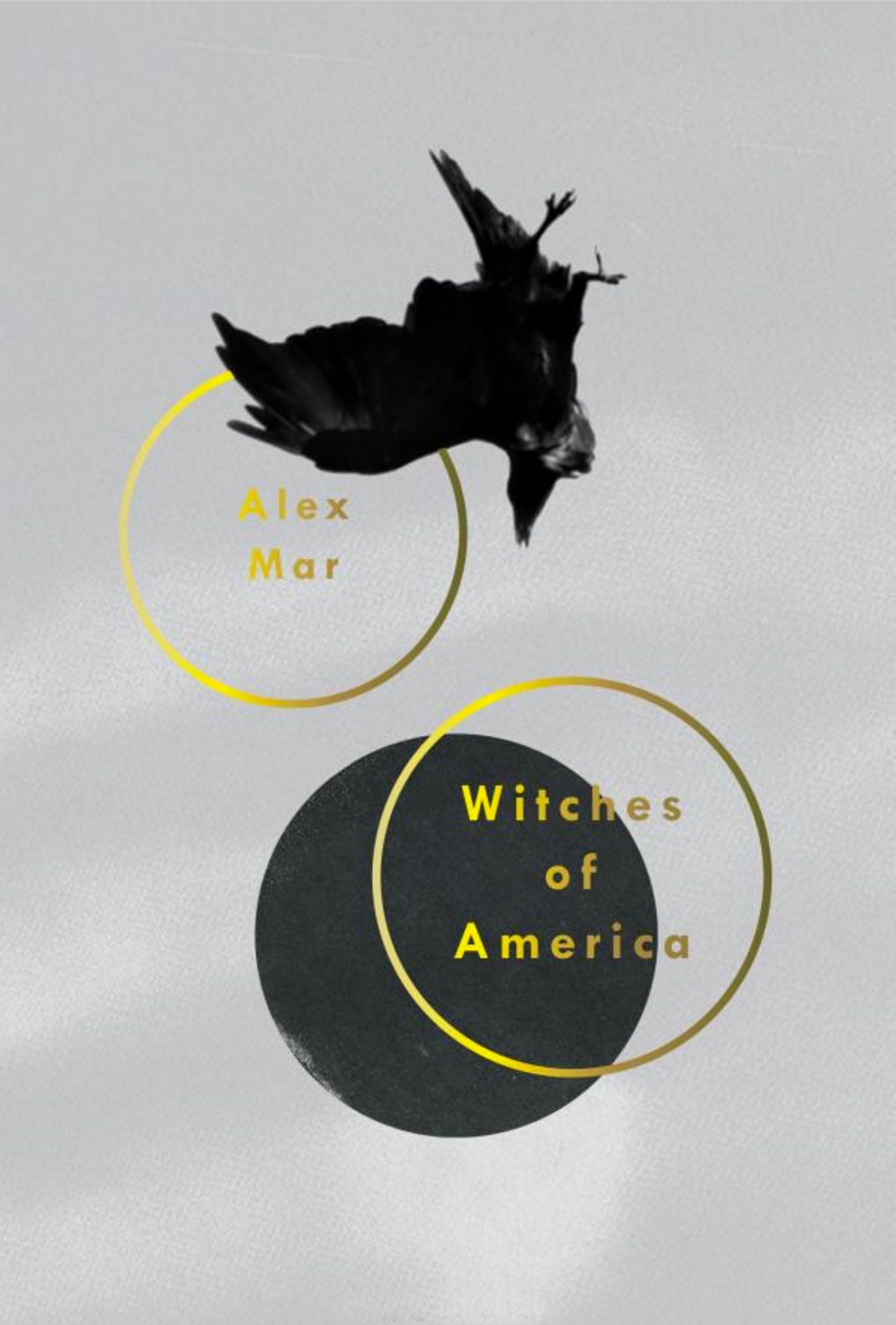 cover of Witches of America