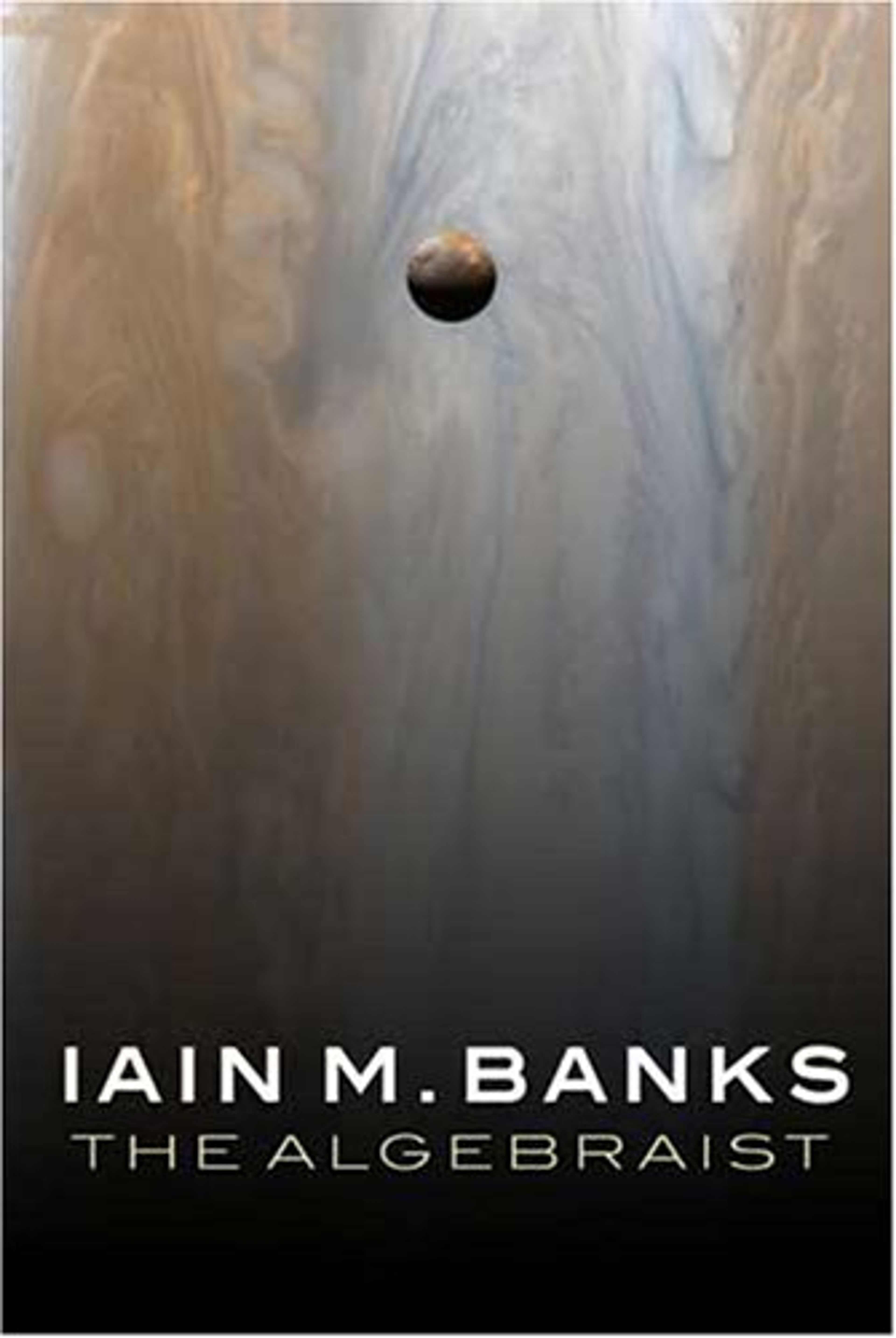 cover of The Algebraist