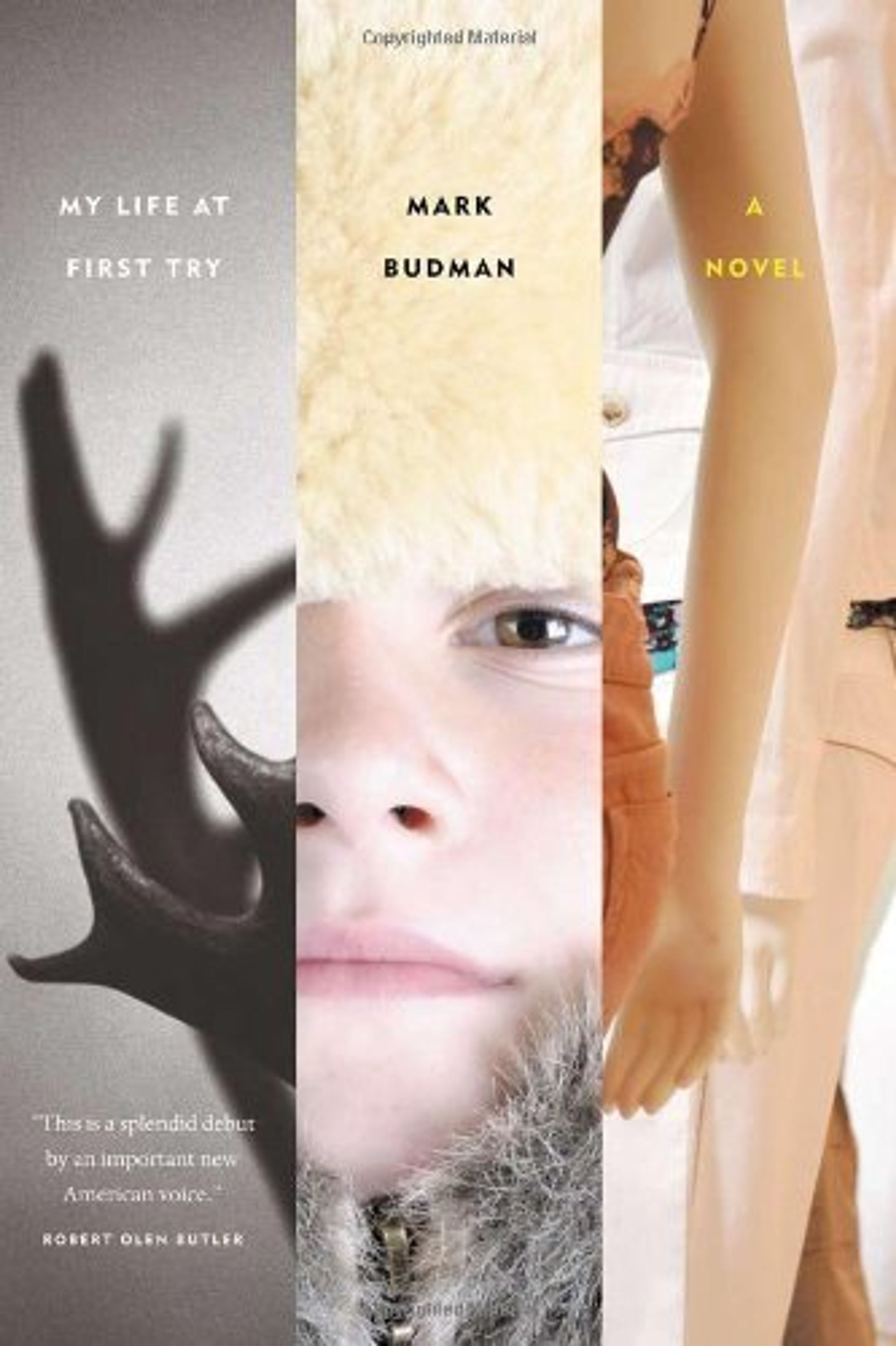 cover of My Life at First Try
