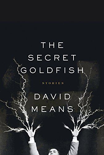cover of The Secret Goldfish
