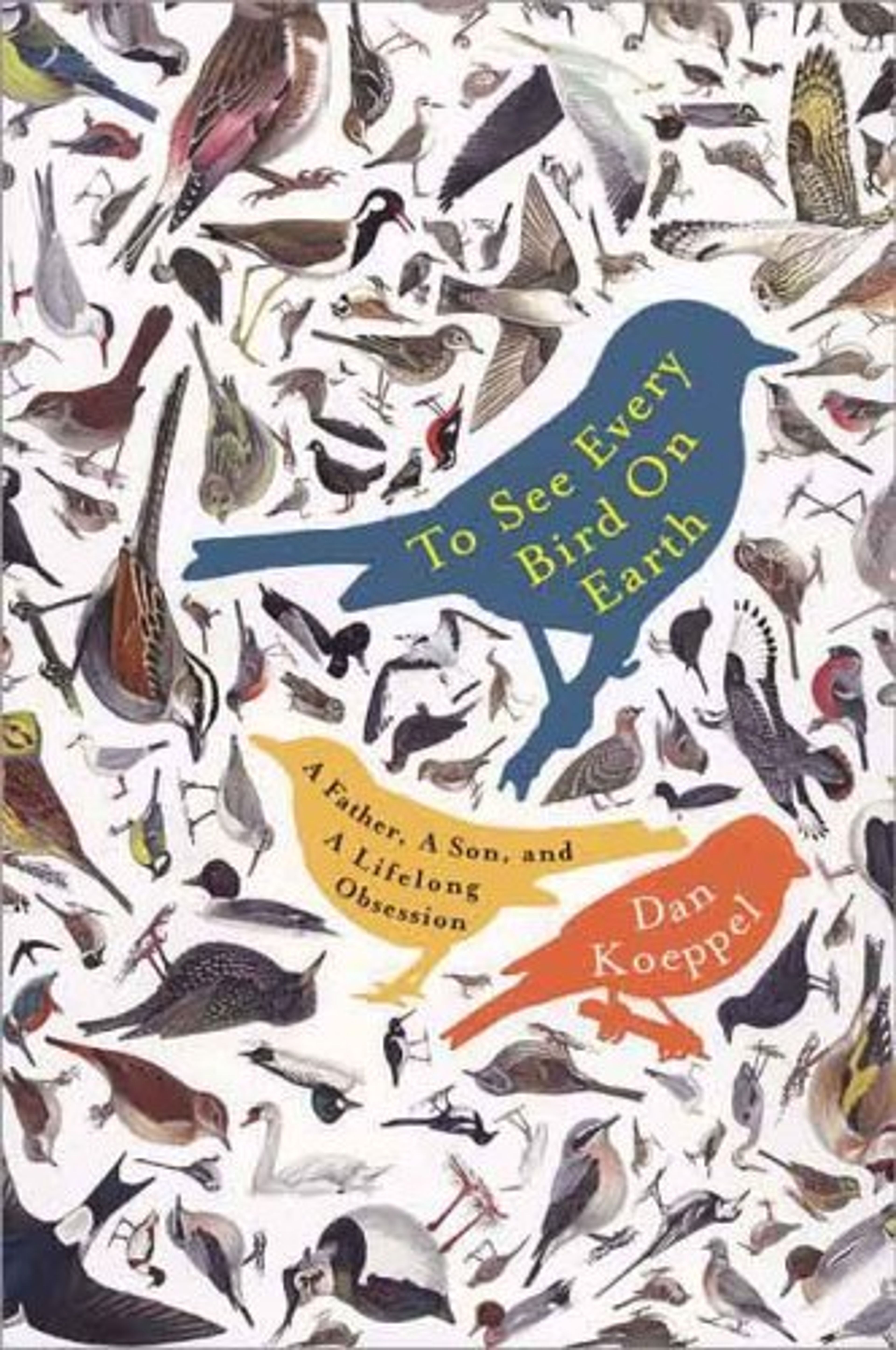 cover of To See Every Bird on Earth