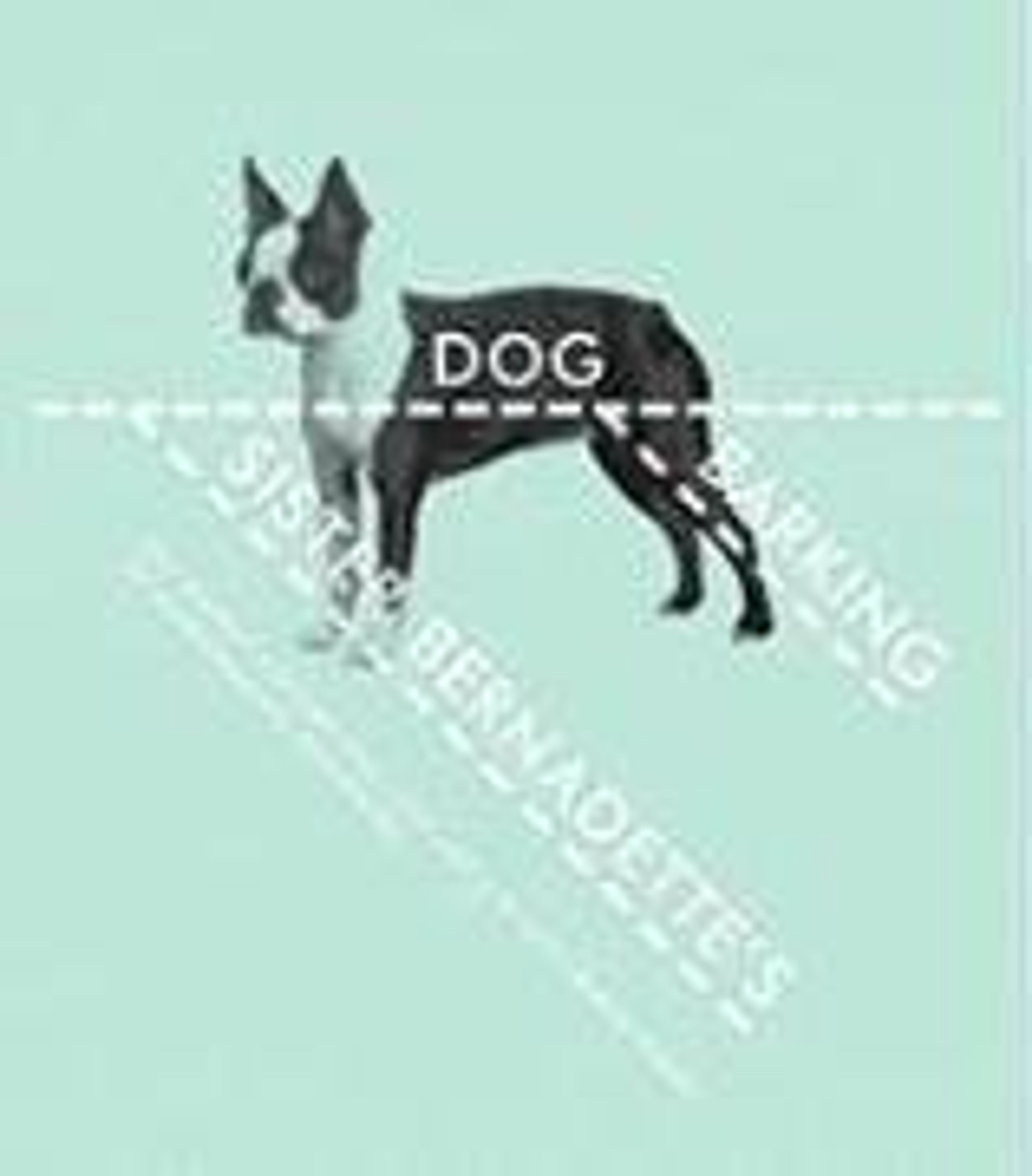 cover of Sister Bernadette's Barking Dog