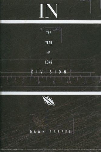 cover of In The Year Of The Long Division