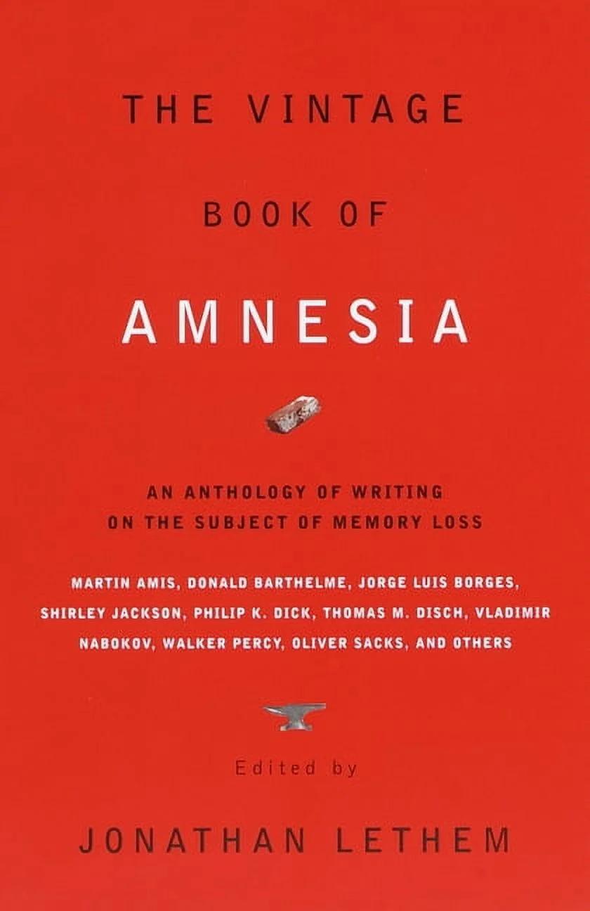 cover of The Vintage Book of Amnesia