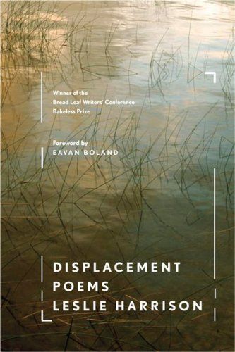 cover of Displacement