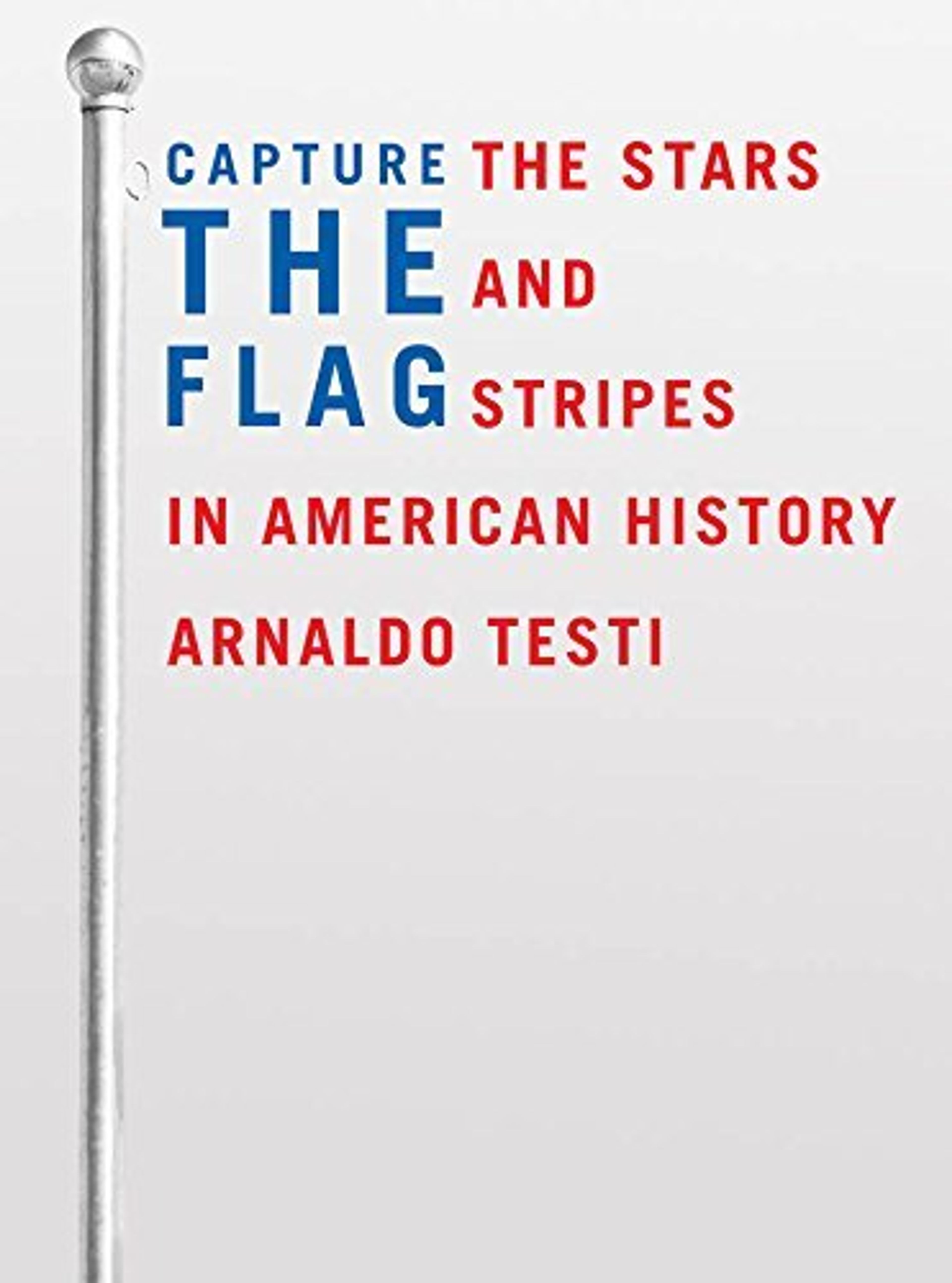 cover of Capture the Flag