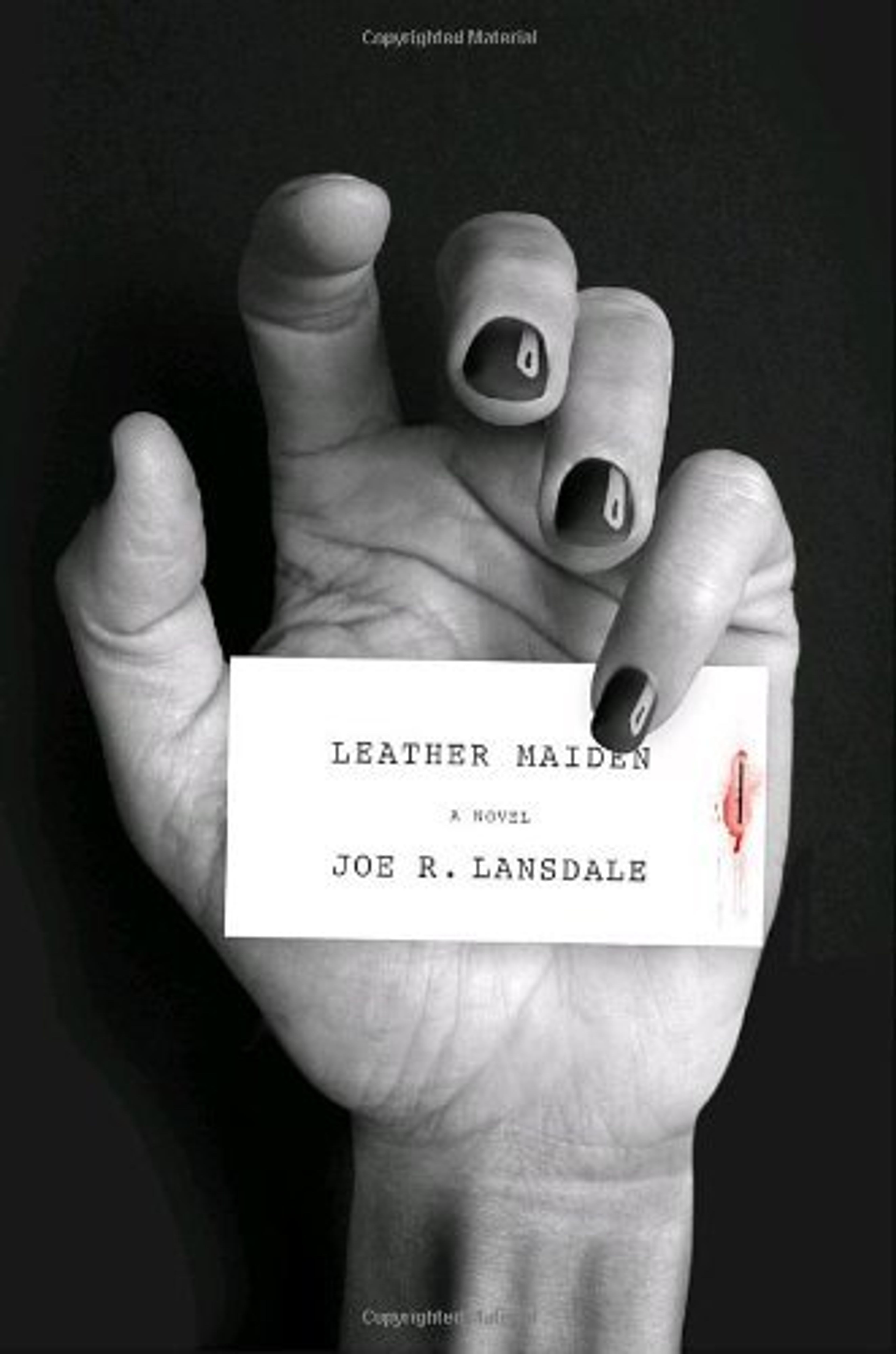cover of Leather Maiden