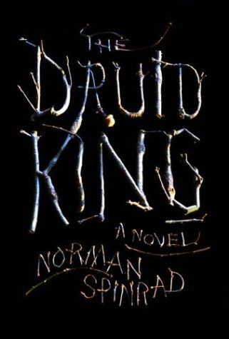 cover of The Druid King