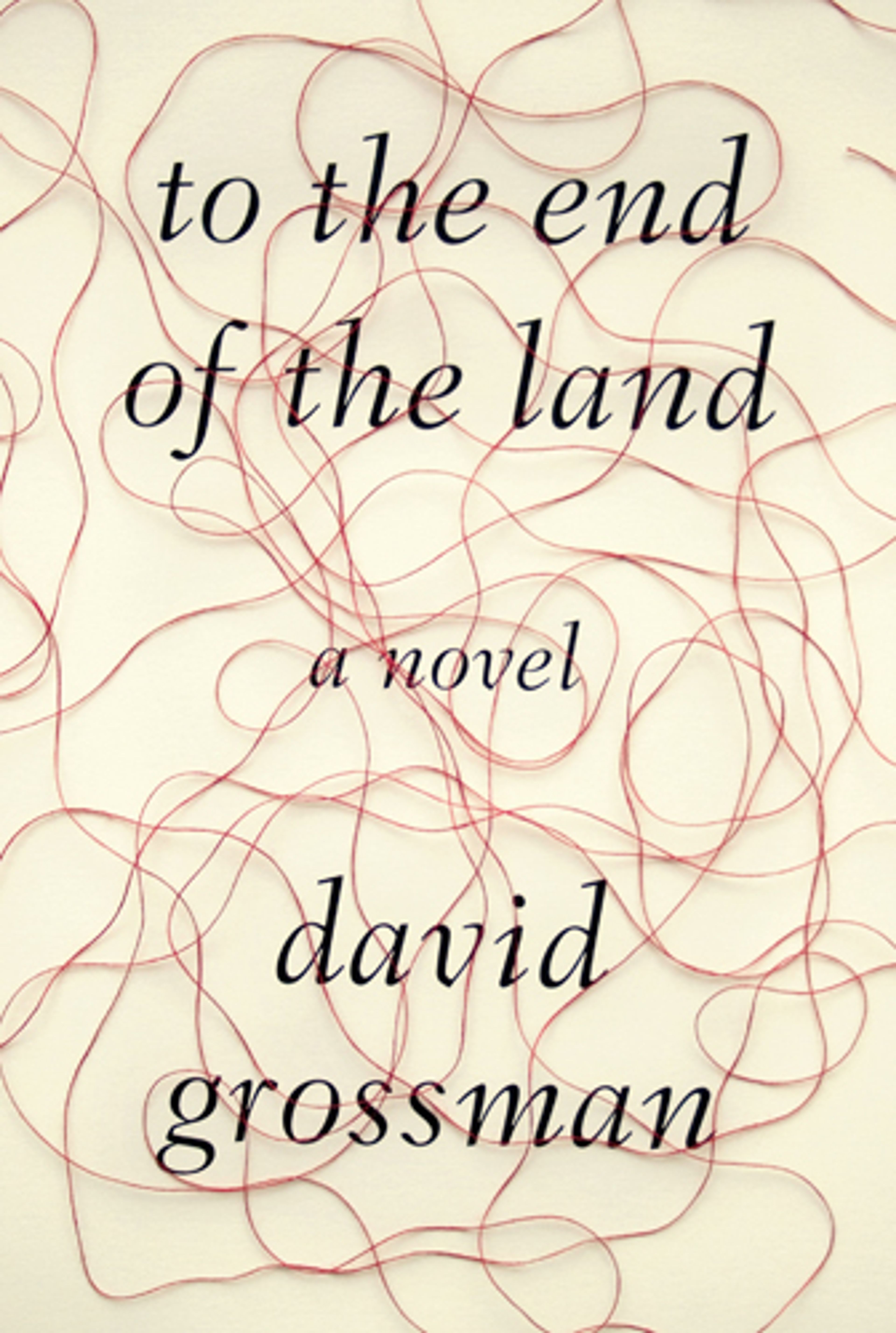 cover of To the End of the Land