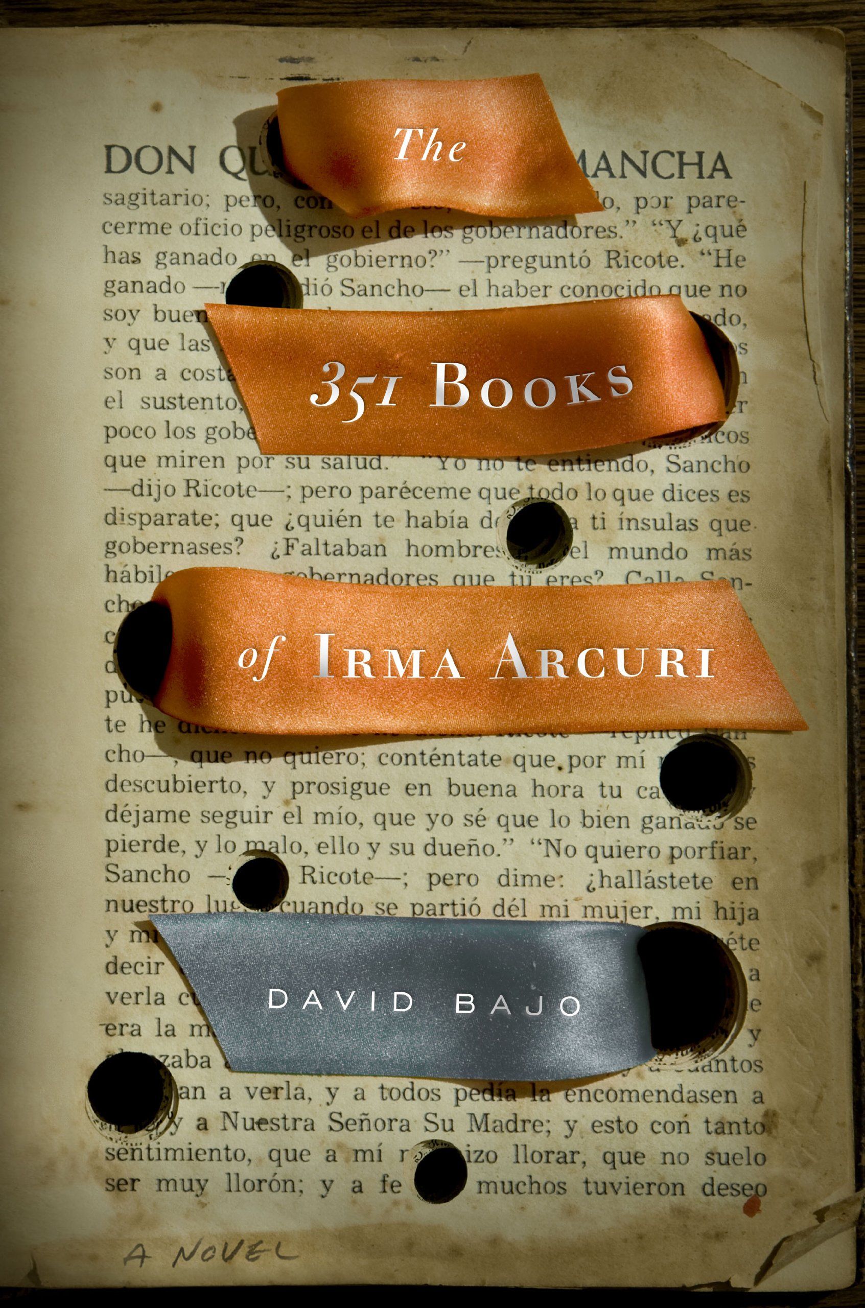 cover of The 351 Books of Irma Arcuri