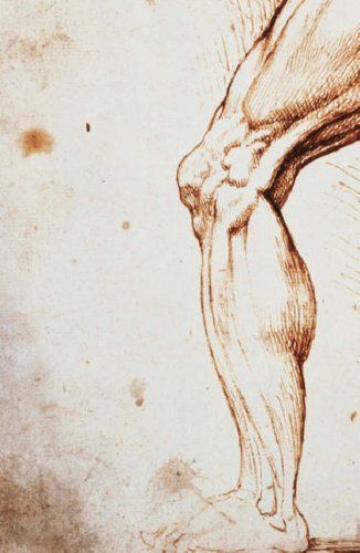 cover of Altered Carbon