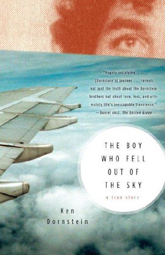 cover of The Boy Who Fell Out of the Sky