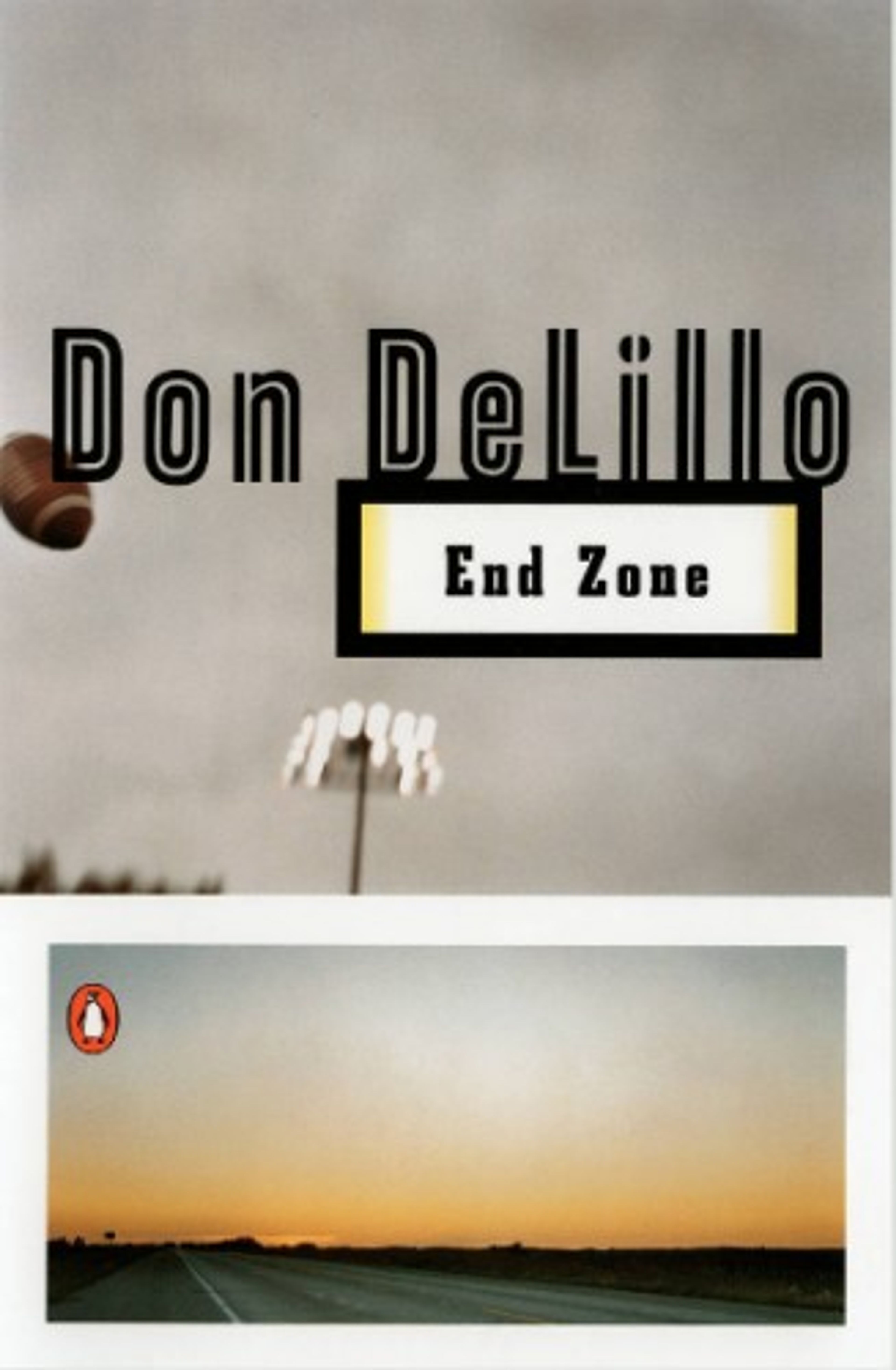 cover of End Zone