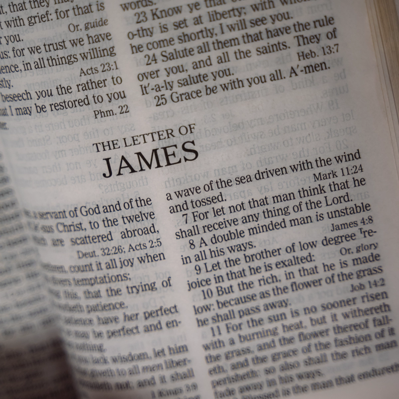 Bible Study