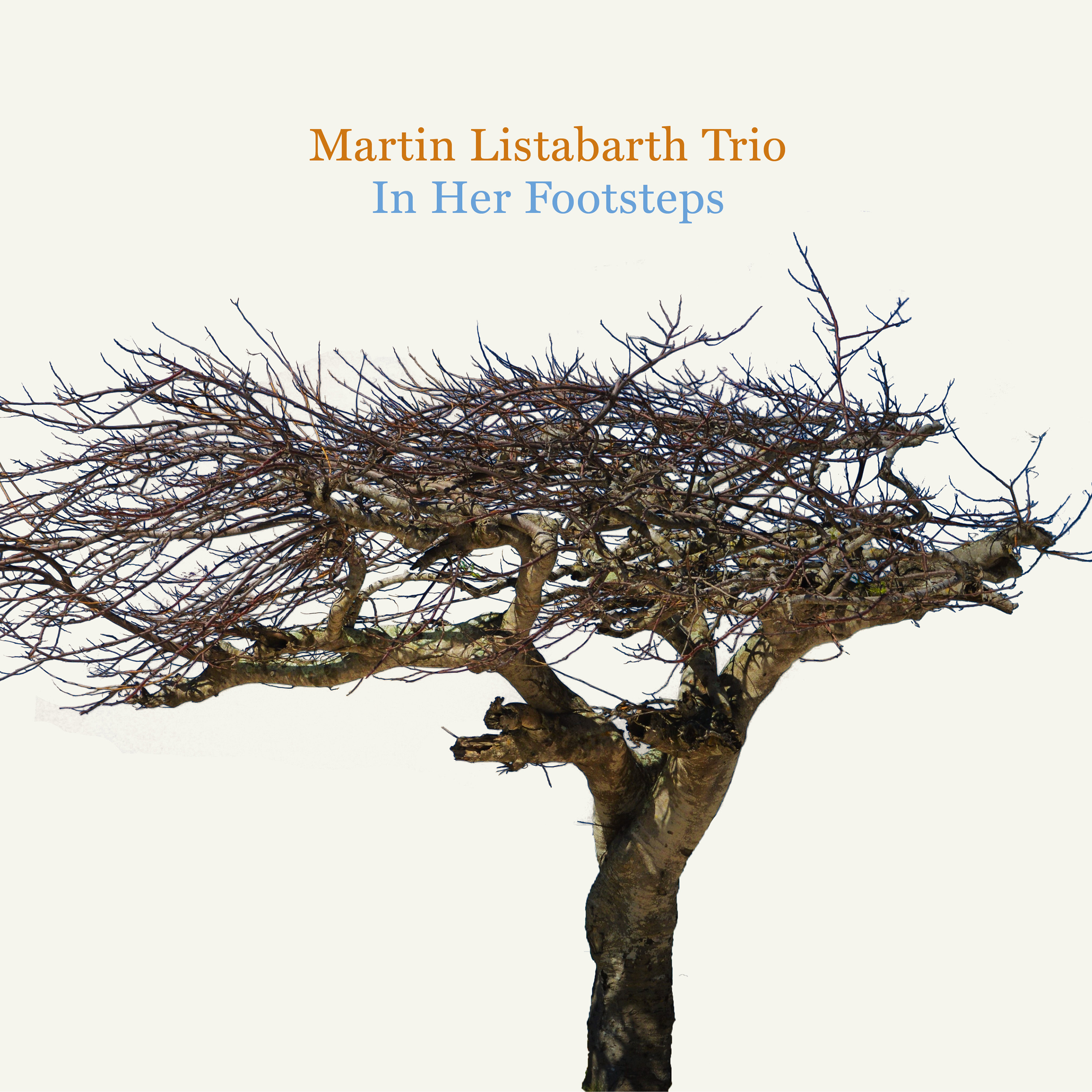 Album Cover "In Her Footsteps"