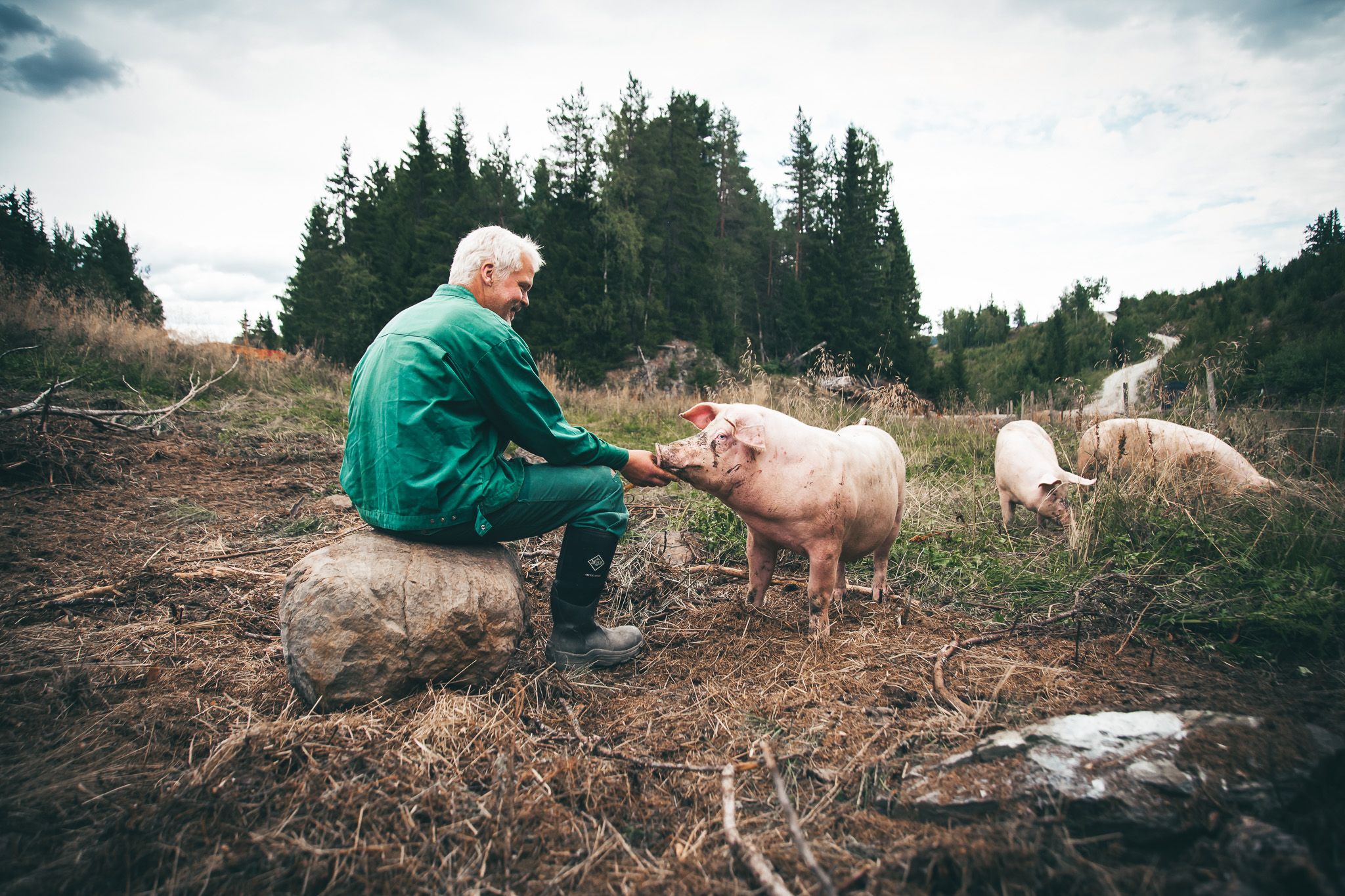 Yrkesskade- og ulykkeforsikring