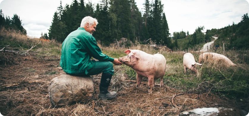 Fra uvær til ny vekst