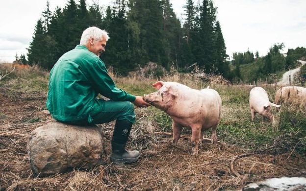 Fra uvær til ny vekst