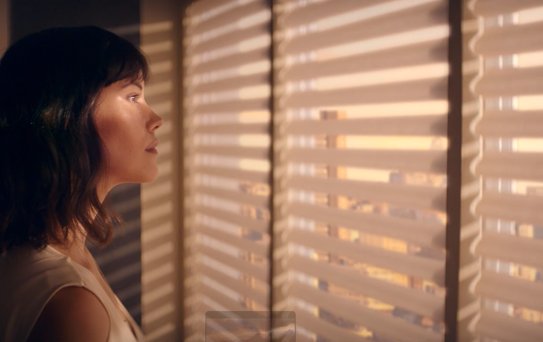 Hunter Douglas