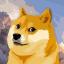 icon of Dogecoin Group 🅥
