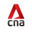 icon of CNA