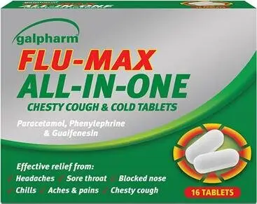 GALPHARM Flu Max all-in-one tablets /250mg 16
