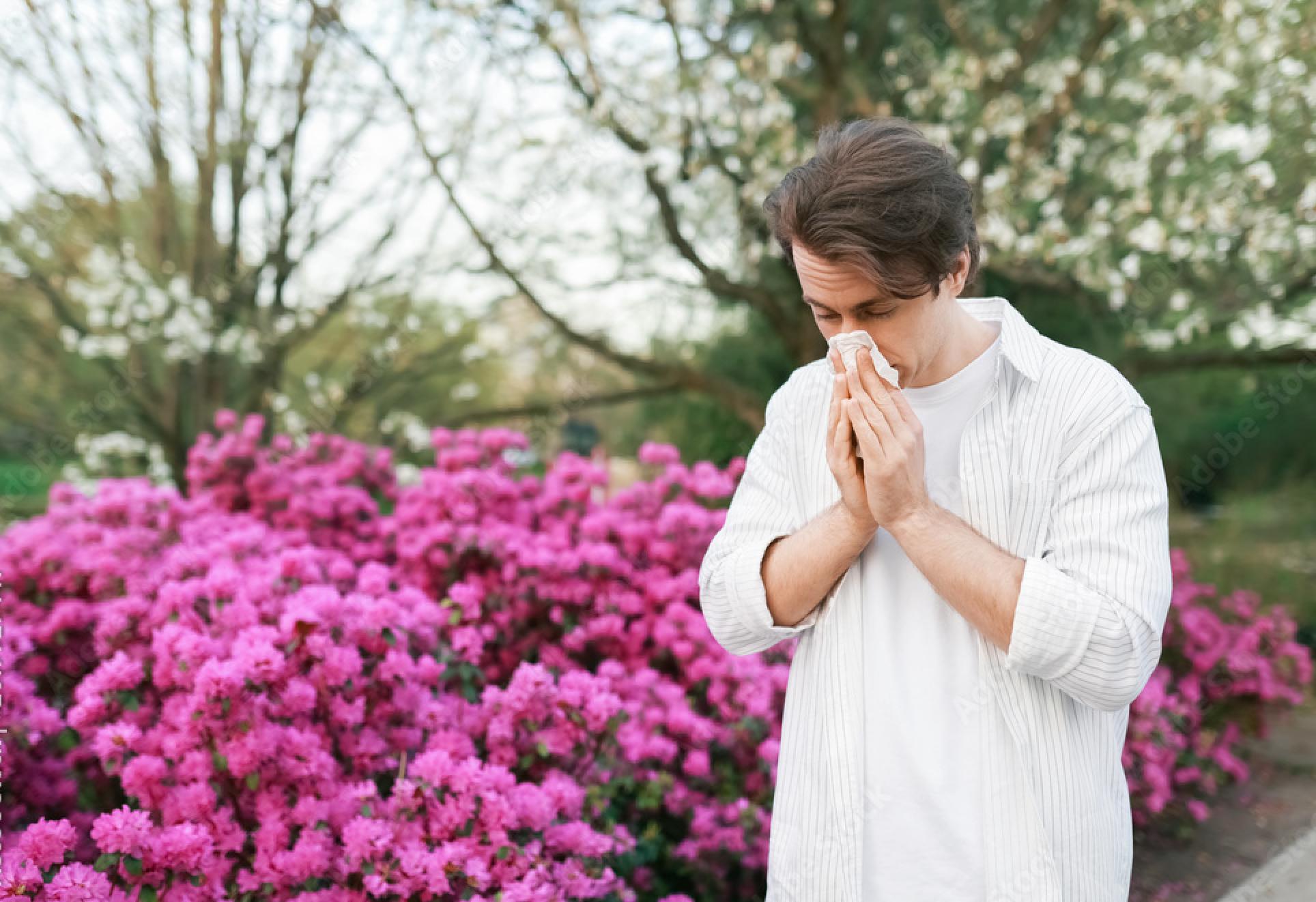 Hay Fever and Allergy Treatment Medication