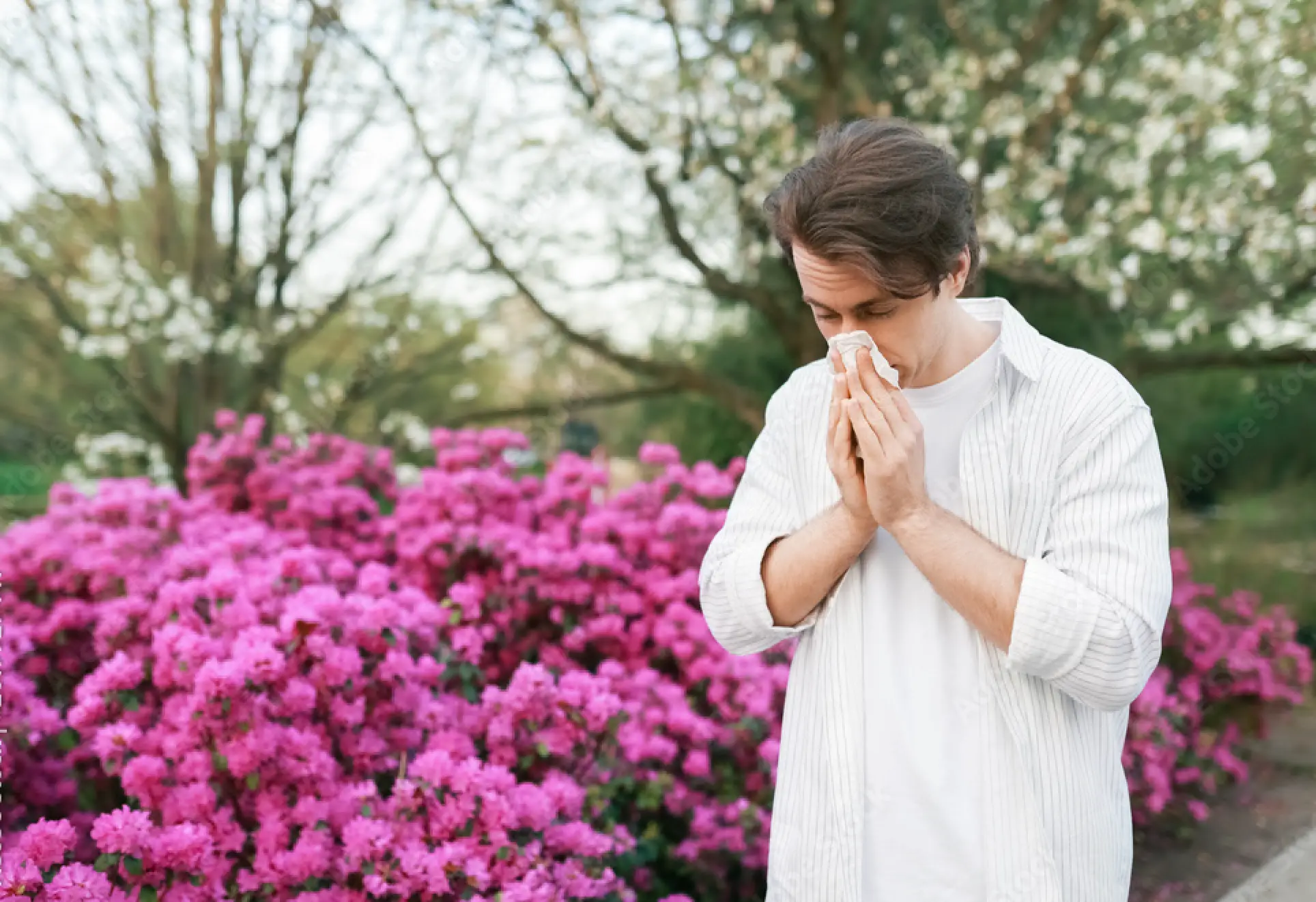 Hay Fever and Allergy Treatment Medication