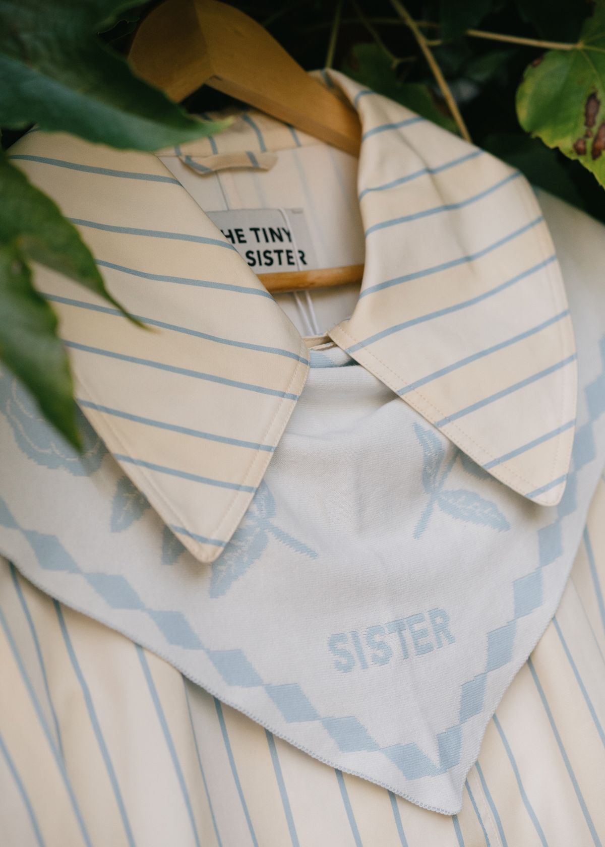 Brand Visual