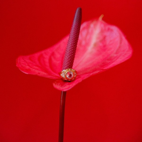 Image des réseaux sociaux : Les ateliers d'Aliénor