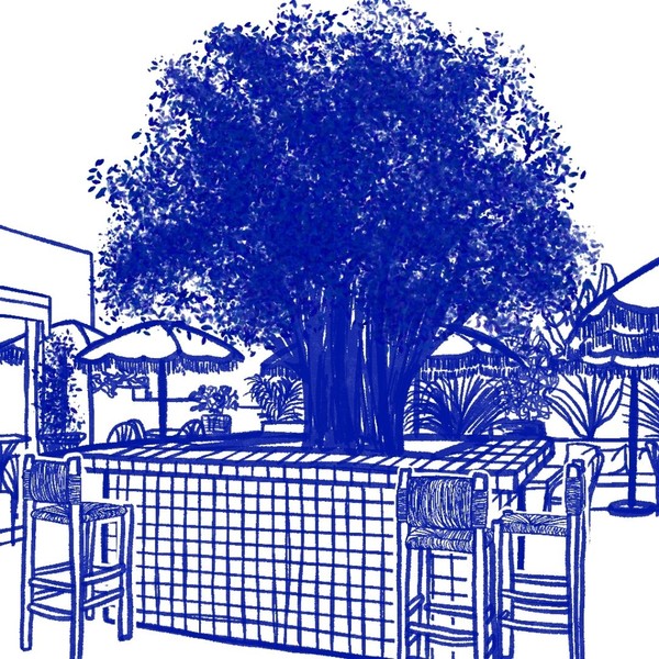 Image des réseaux sociaux : Le Jardin de la Paillote Bleue