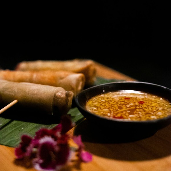 Image des réseaux sociaux : Oko