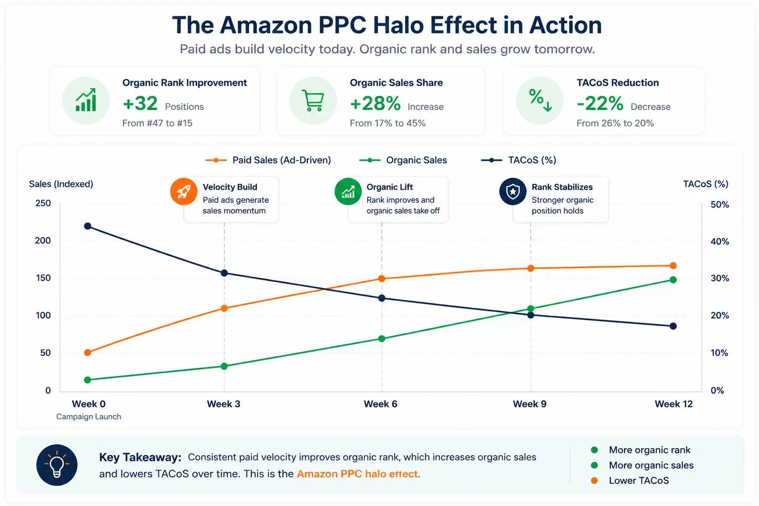 Multi-line chart showing paid sales stabilizing while organic sales increase over twelve weeks, illustrating the Amazon PPC halo effect for a beauty brand.