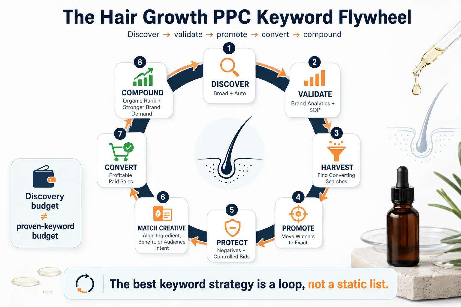 Amazon PPC keyword flywheel showing broad and auto discovery, Brand Analytics and Search Query Performance, exact-match promotion, negative keywords, matching creative, paid conversions, and organic rank growth.