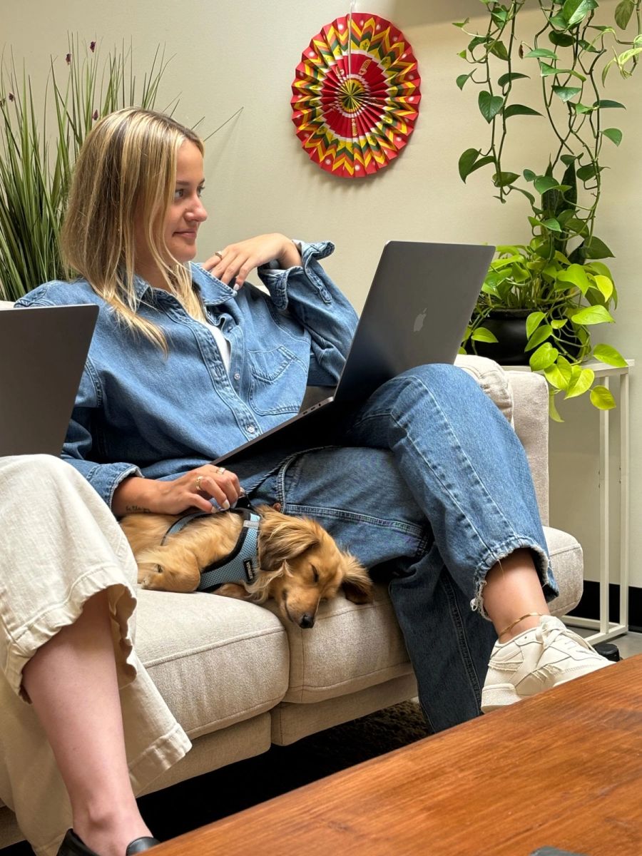 Sproutbox teammate working on a laptop on the office couch with a sleeping dachshund curled up beside them
