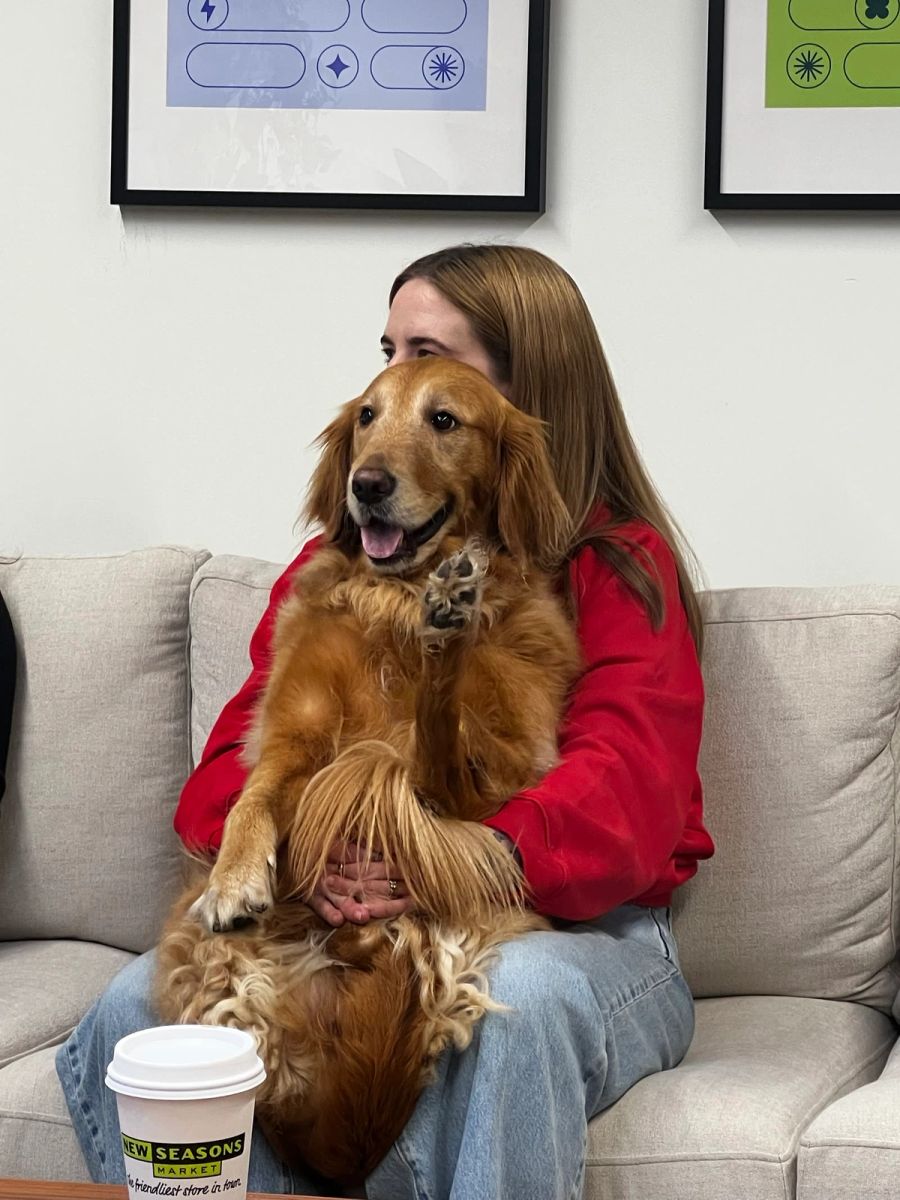 Sproutbox teammate on the office couch with a fluffy golden dog on their lap