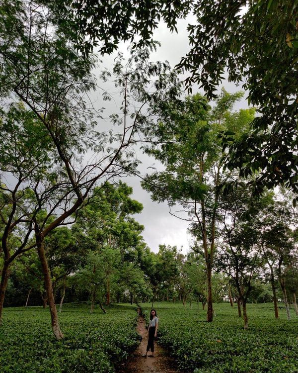 Building a Career in Sales as an Introvert