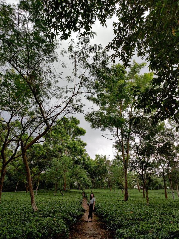 Building a Career in Sales as an Introvert