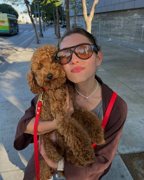 Walking Dogs in Denver for a Living