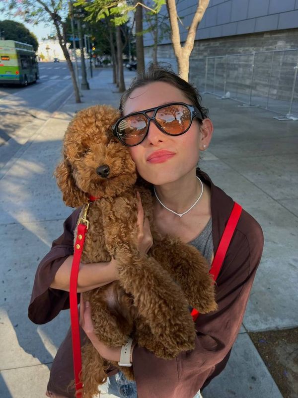 Walking Dogs in Denver for a Living