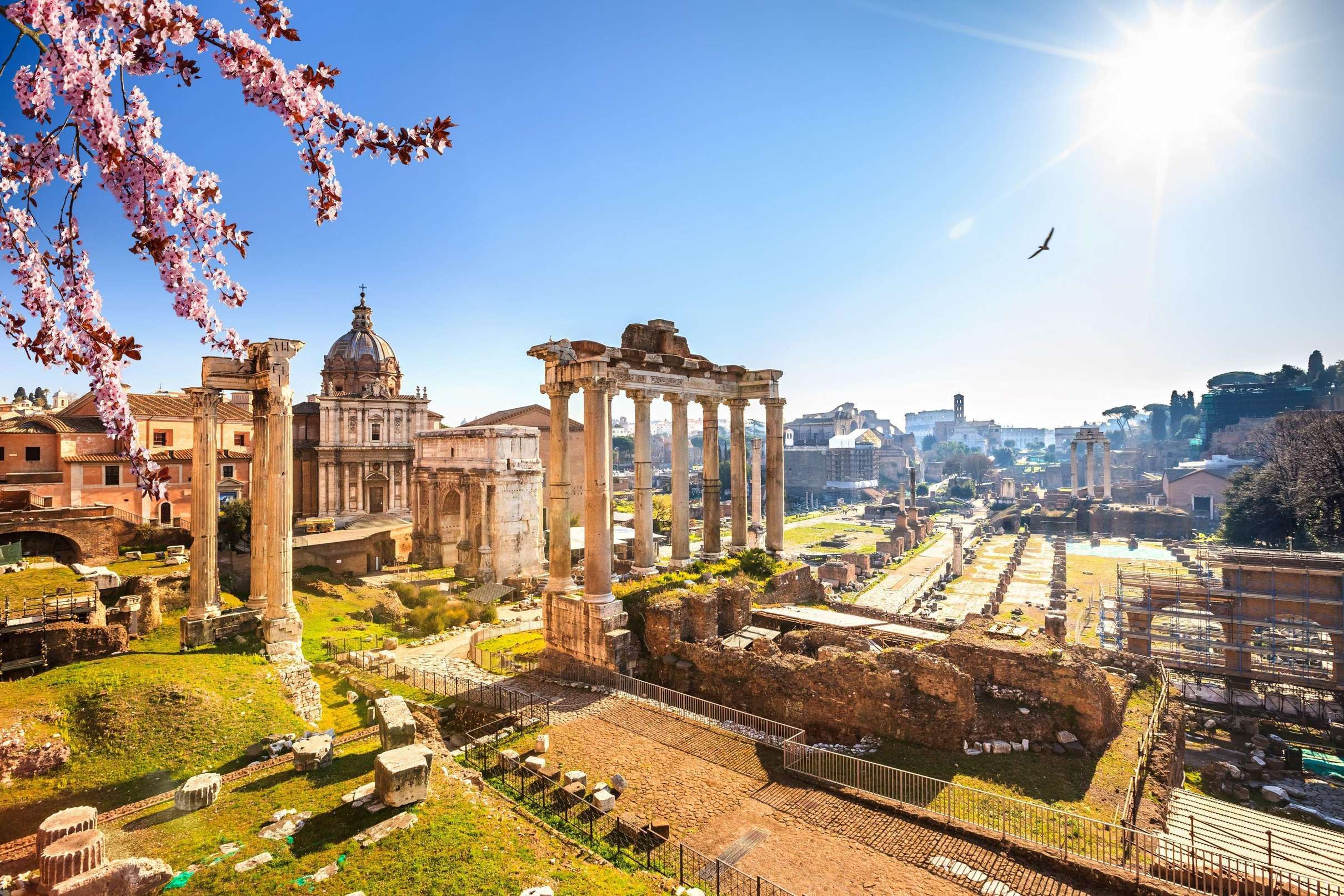 Rome Colosseum Vatican Combo Tour Same Day Access, Rome — photo 2