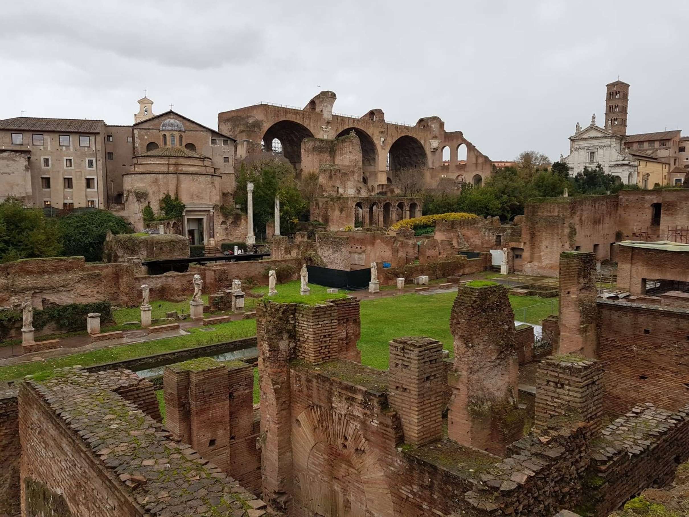 Dedicated-Guide Private Tour: Colosseum, Forum & Palatine, Rome — photo 4