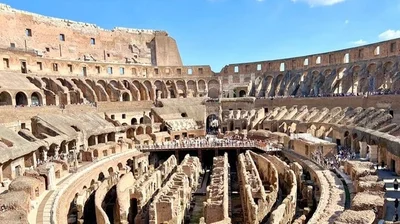 Colosseum Forum Palatine Hill Group Guided Tour