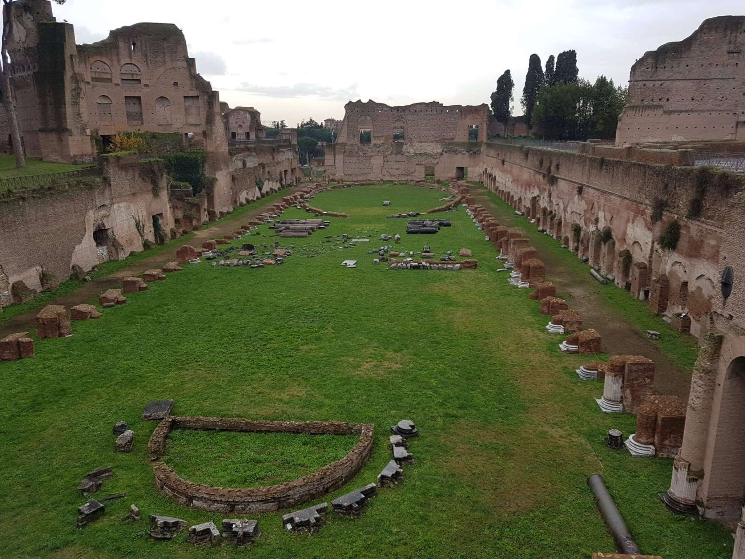 Dedicated-Guide Private Tour: Colosseum, Forum & Palatine, Rome — photo 3