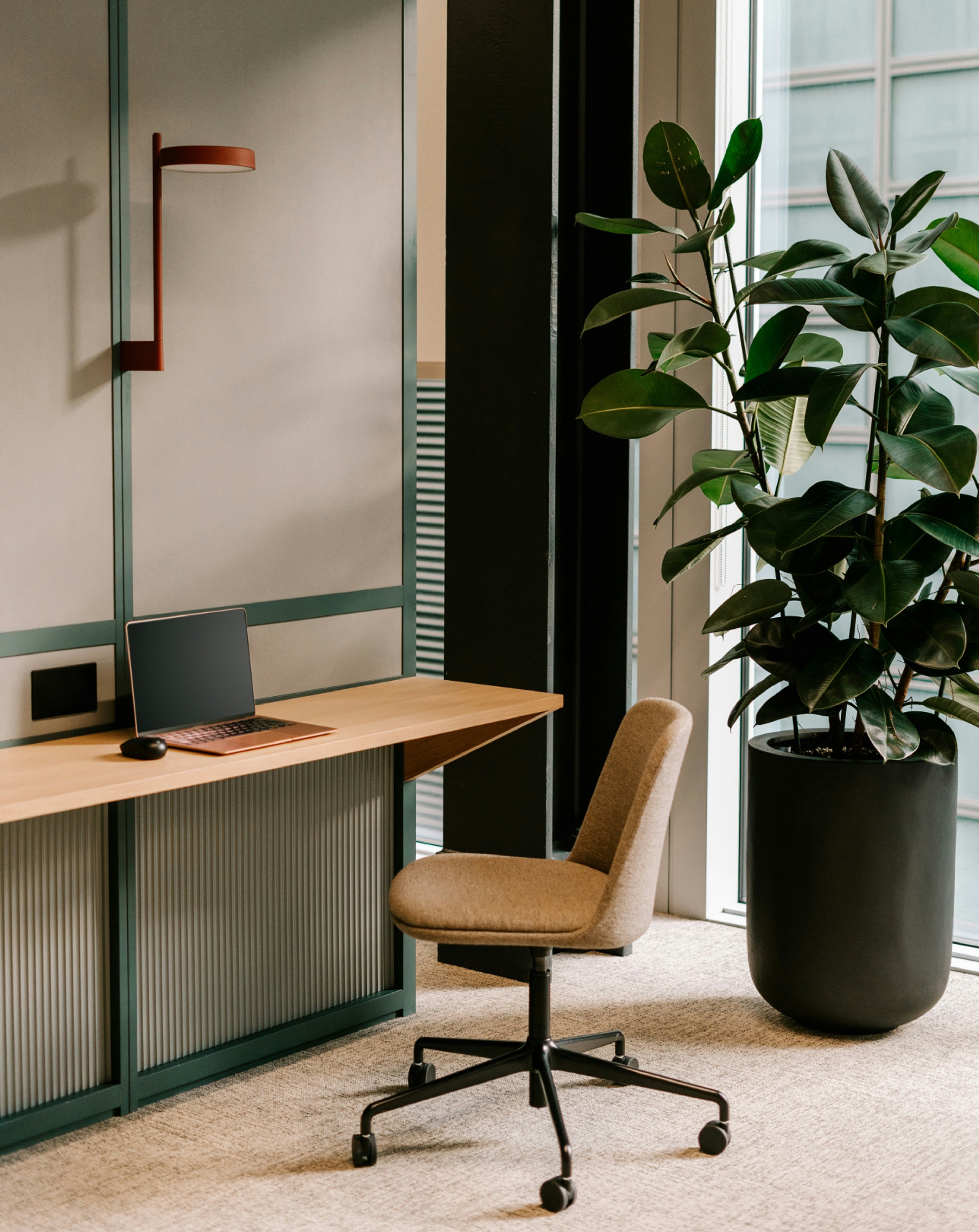 Common space with natural light and modern