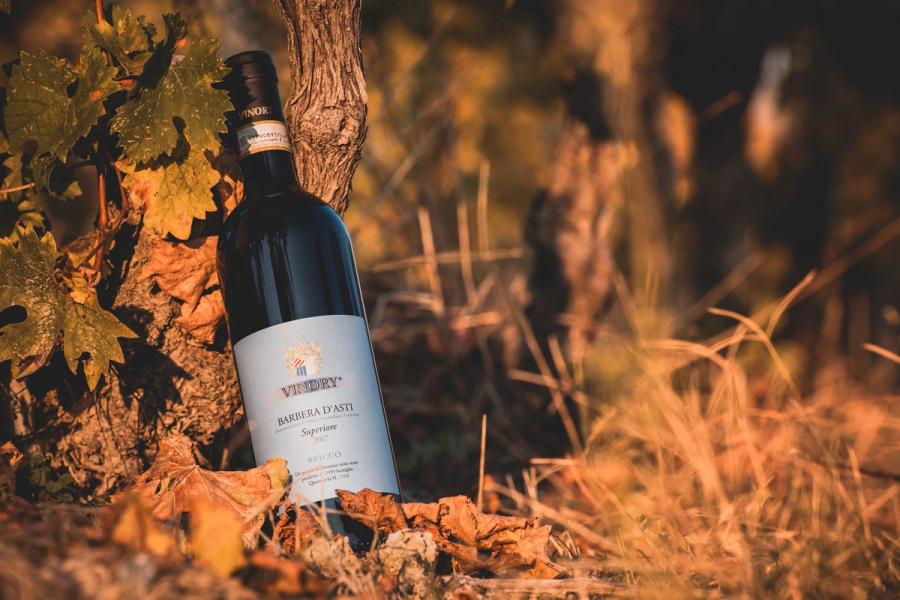 Barbera d'Asti Superiore "Bricco di Nizza"